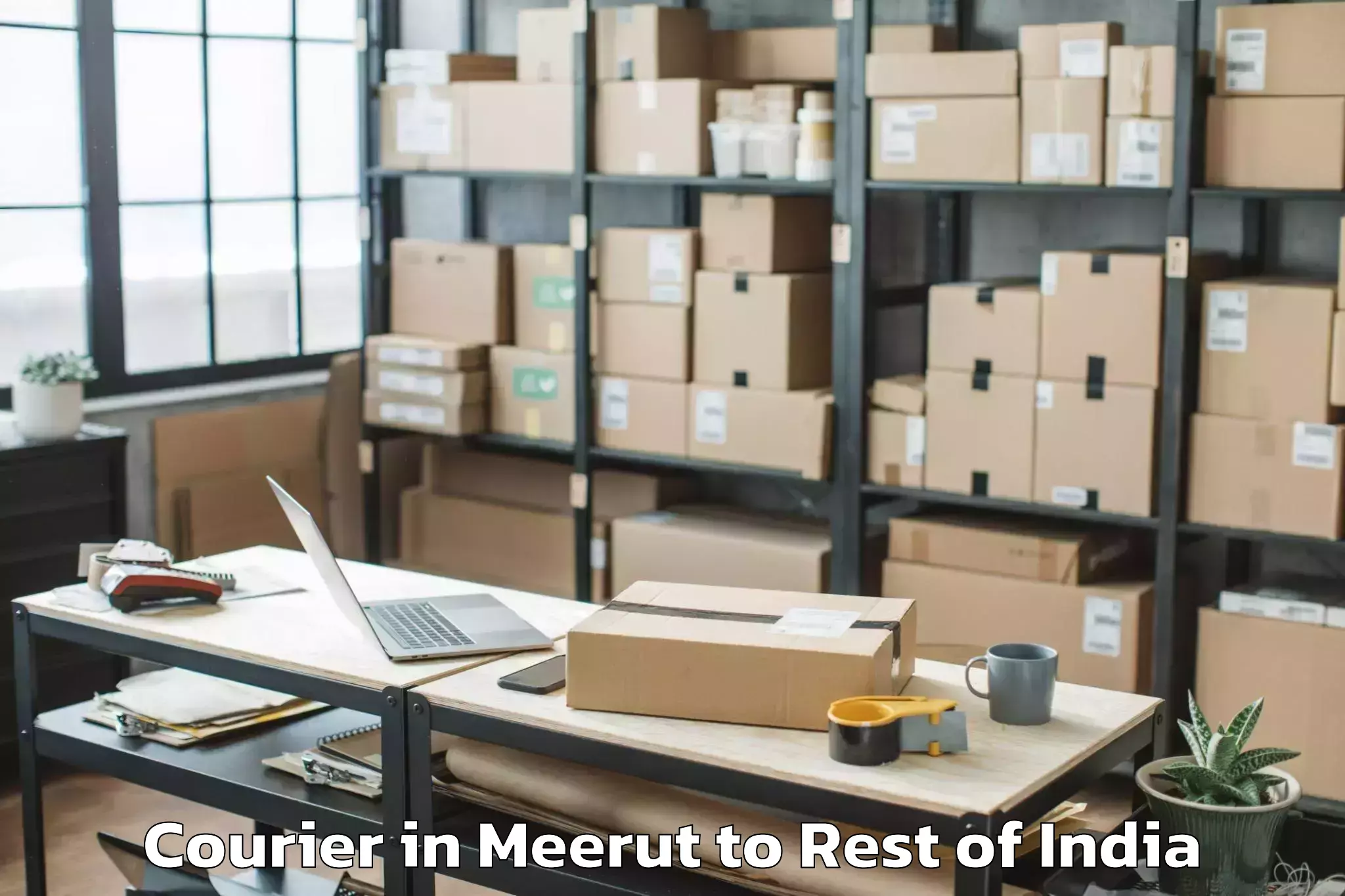 Quality Meerut to Nallabelli Courier